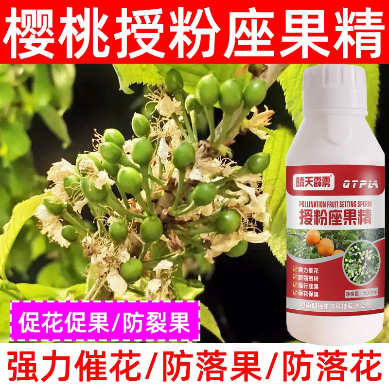 大樱桃授粉药膨大促花促果防落果座果精樱桃树促开花催结果肥料