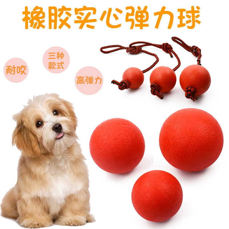狗狗弹力球耐咬宠物玩具用品实心磨牙小中大型狗训练训犬神器高弹