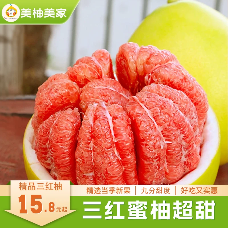 【三红蜜柚】红心柚自家果园新鲜采摘源头发货正宗平和蜜柚送人送礼