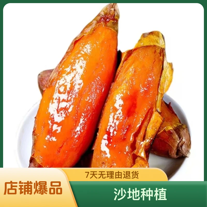 【热销】沂蒙山烟薯25糖心蜜薯新鲜上市4.5斤包邮香甜糯烤蒸煮