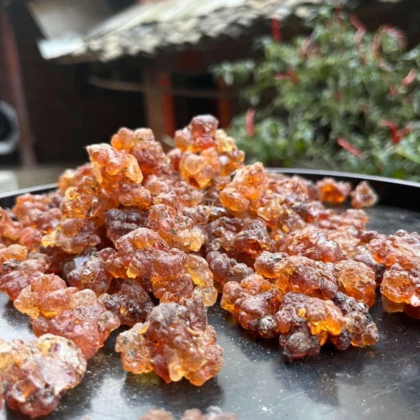 桃胶 云南老树桃树分泌物桃胶