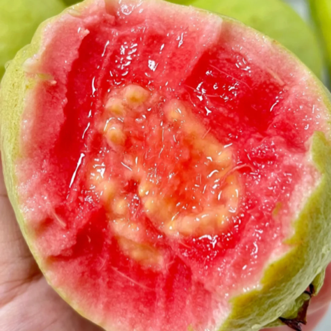 红心芭乐2个【果切】