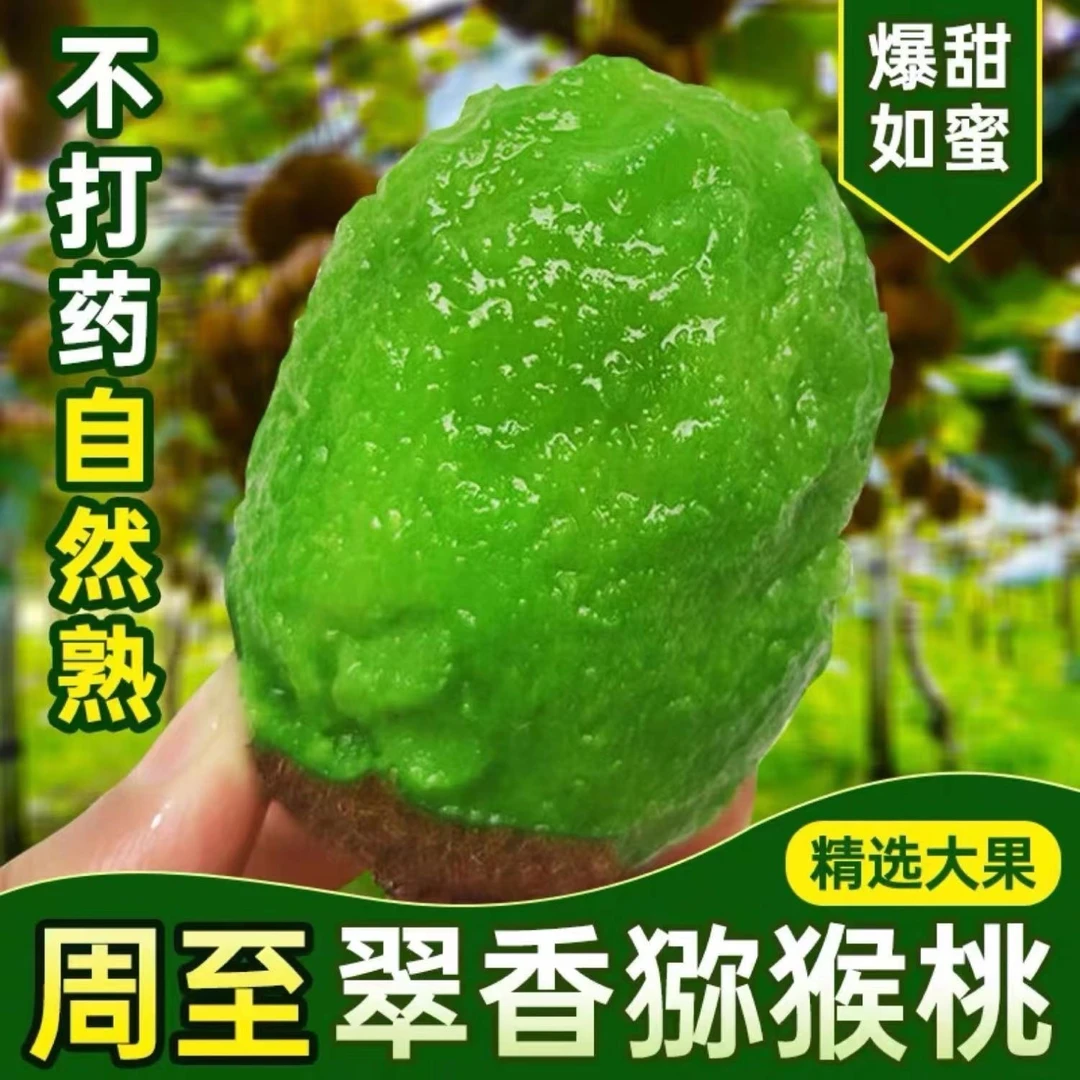 【梦想山妹】孟家园子陕西周至正宗翠香猕猴桃香甜多汁