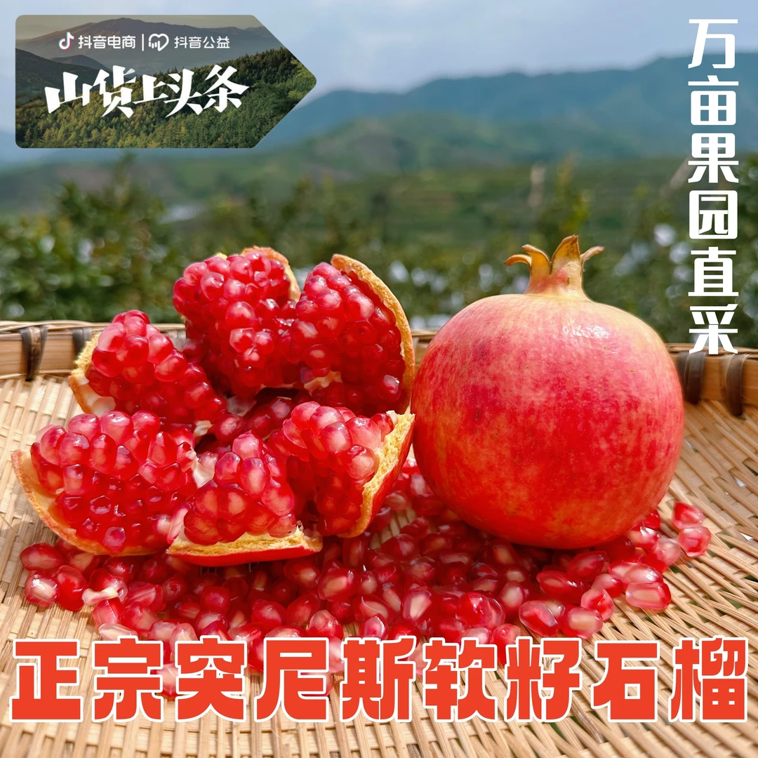 眯甜果森 【开园试吃】1.5斤正宗四川会理突尼斯软籽石榴5斤装 纯甜
