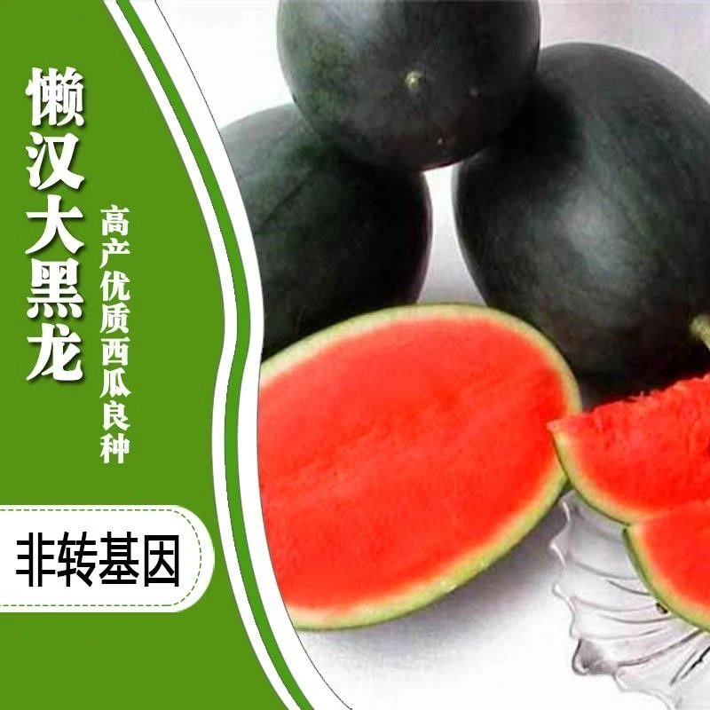 【全场满5元包邮】西瓜种子薄皮黑皮西瓜种植生长多汁绿皮全国产地