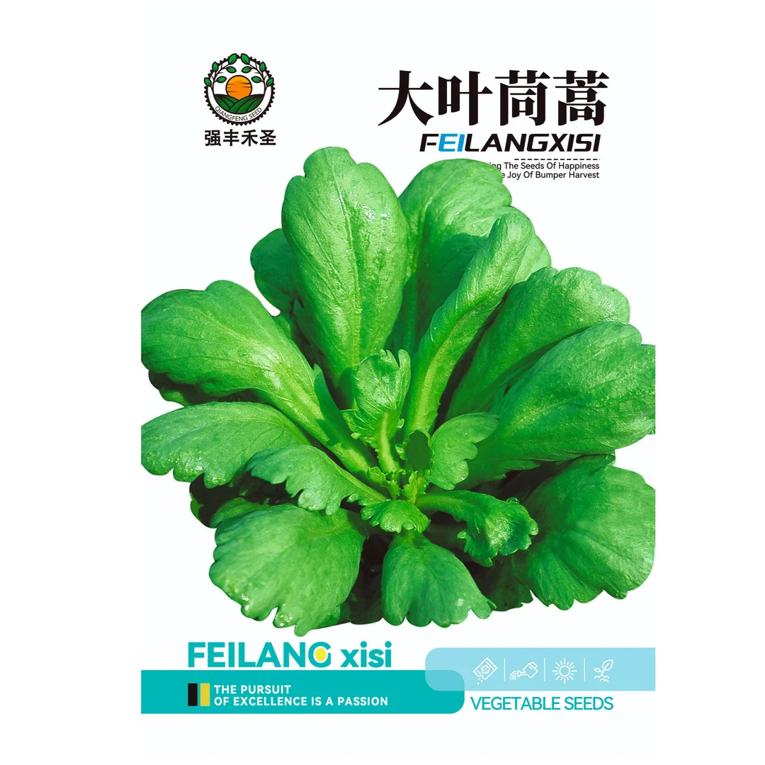 【全场满5元包邮】大叶茼蒿（包装袋13x19厘米）每包约800粒左右