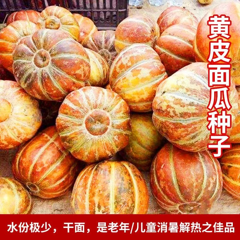 【全场满5元包邮】黄皮面瓜每包约70粒