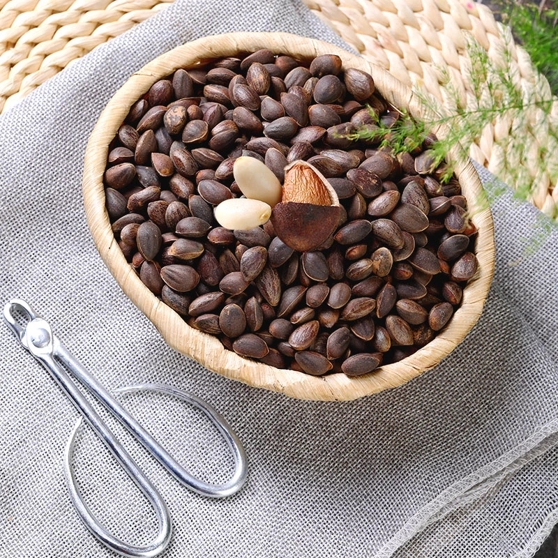 【云南生松子】2025新鲜湿松子落水松大颗粒饱满原味薄壳散装坚果