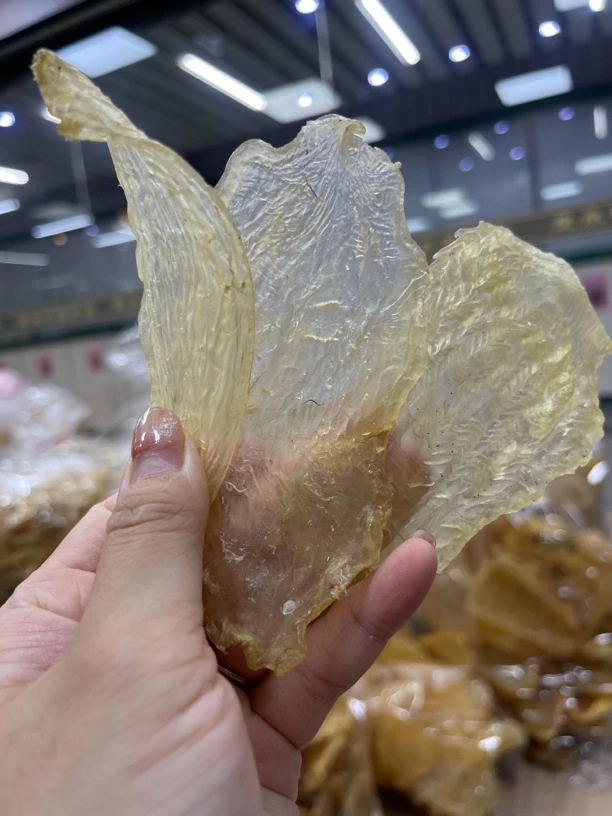 泽娜 马来竹叶胶 野生老竹叶鱼胶