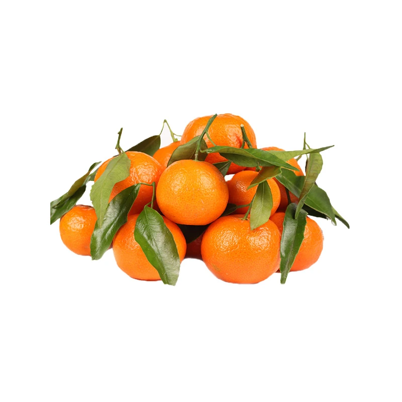 沙糖桔 500g±50g/份