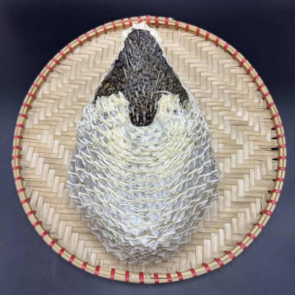 刺龟皮 养胃佳品 大头数约1-2个斤 海南深海 刺豚皮 足干优质