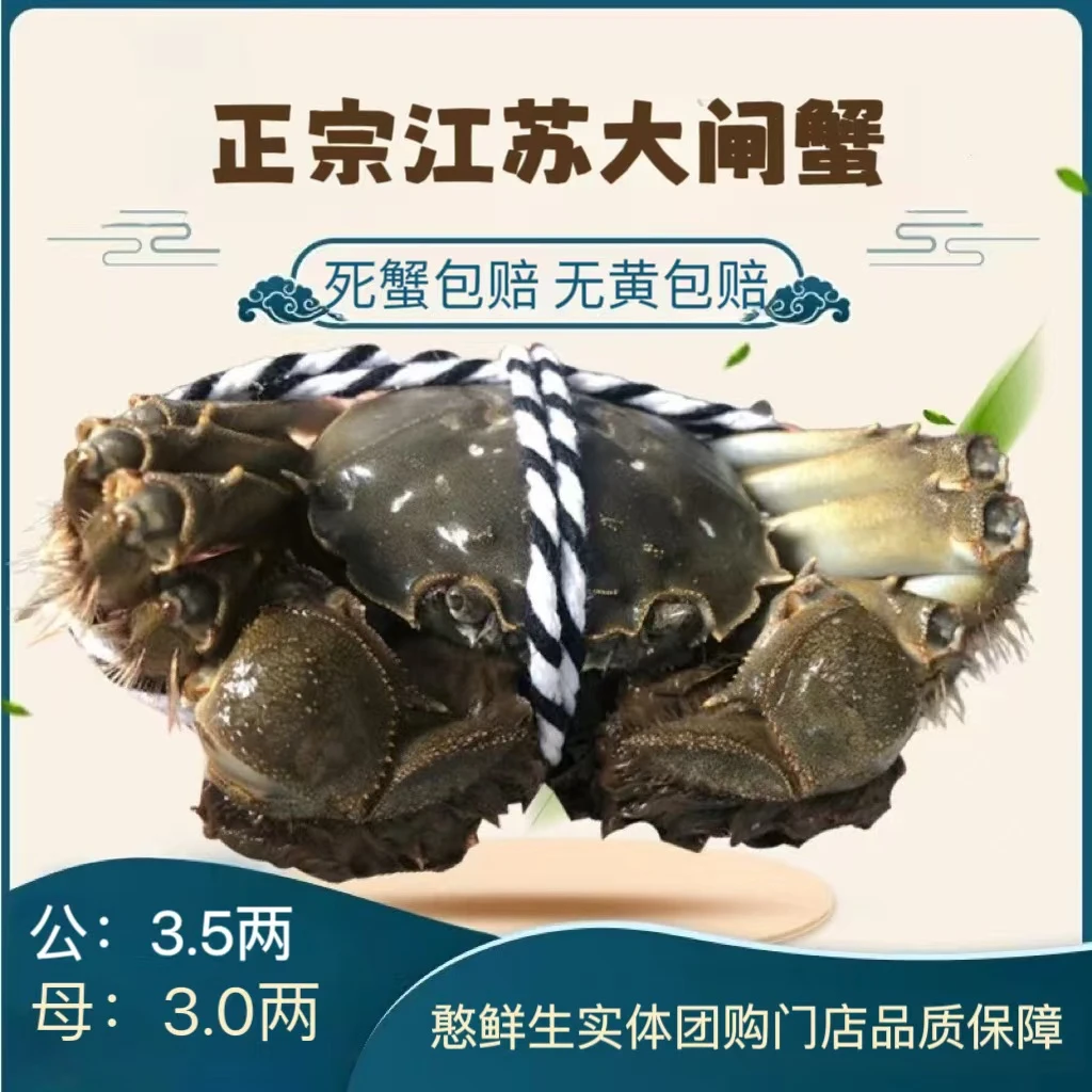 江苏大闸蟹