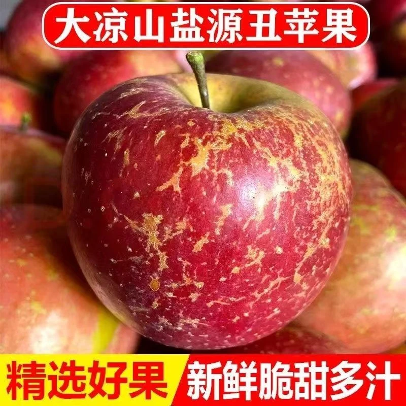 【冰糖心丑苹果】现摘新鲜丑苹果脆甜新鲜水果四川丑苹果 3/5/8斤