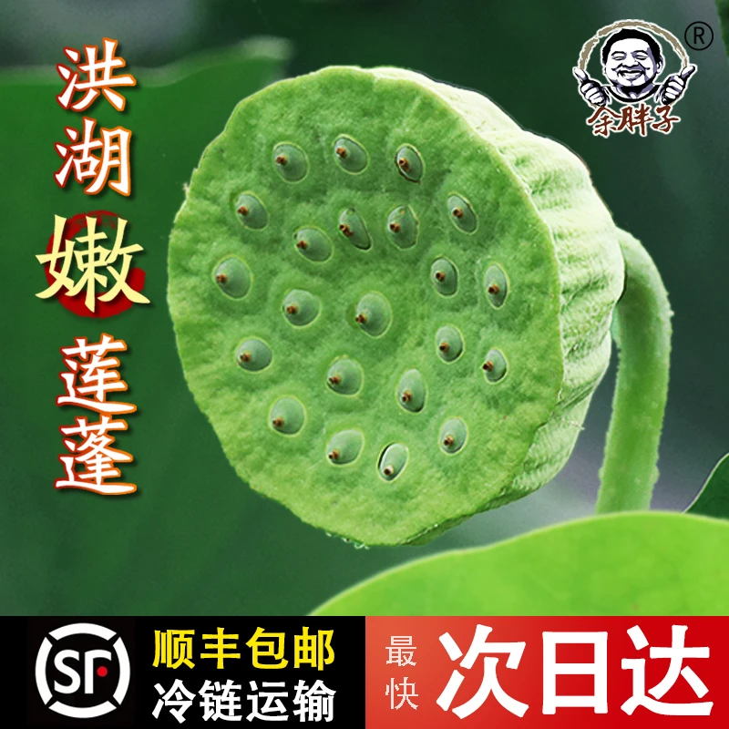 余胖子湖北洪湖莲蓬新鲜生莲子米嫩甜水果孕妇当季3斤现摘鲜