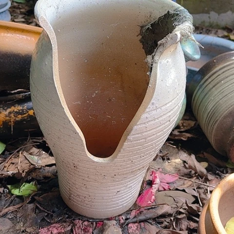 红陶20CM（含）-50CM（不含）缺口一个18高度31白