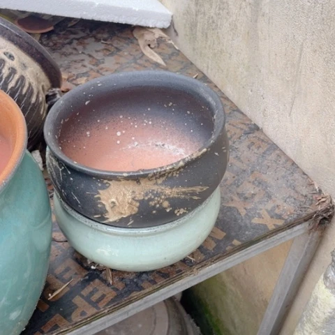 红陶20CM（含）-50CM（不含）18×10两个