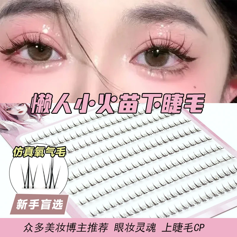 下睫毛小火苗太阳花新手嫁接单簇分段式向阳花自然款仿真三部曲