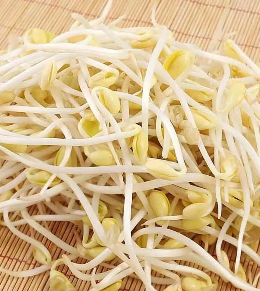 绿豆芽1斤/份±20g