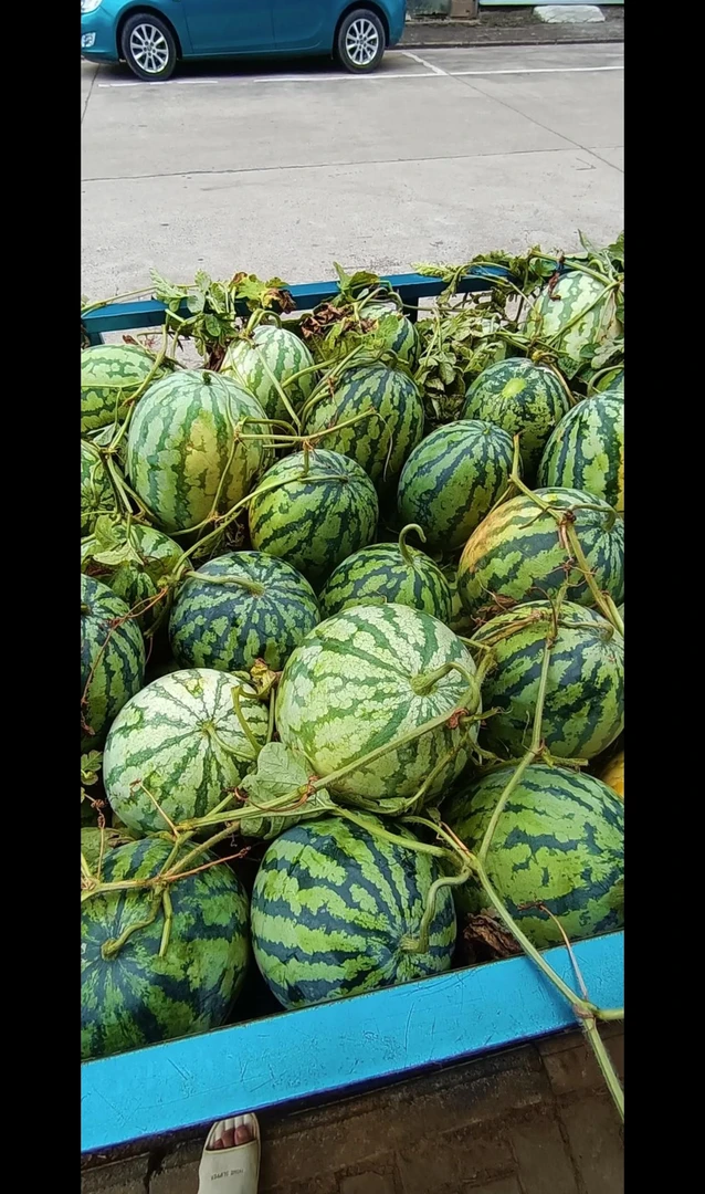 西瓜西瓜450g甜甜