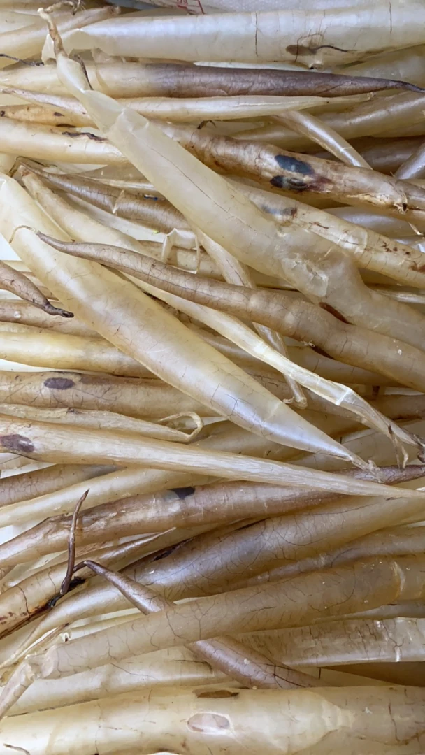 广东鱼胶 福利鱼胶（慎拍，直播间临时改价）