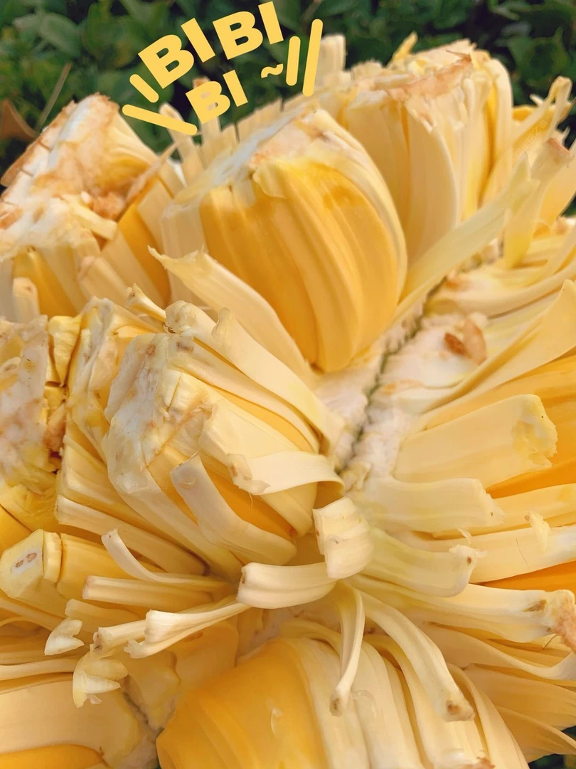 越南红肉菠萝蜜一盒