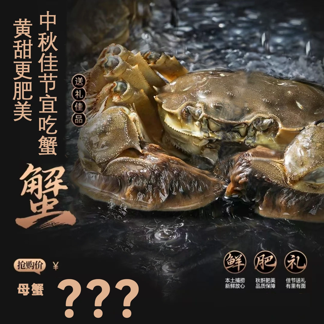 红梅蟹后【活蟹】盘锦河蟹 母蟹(0.8-1.0两)20只 顺丰冷链