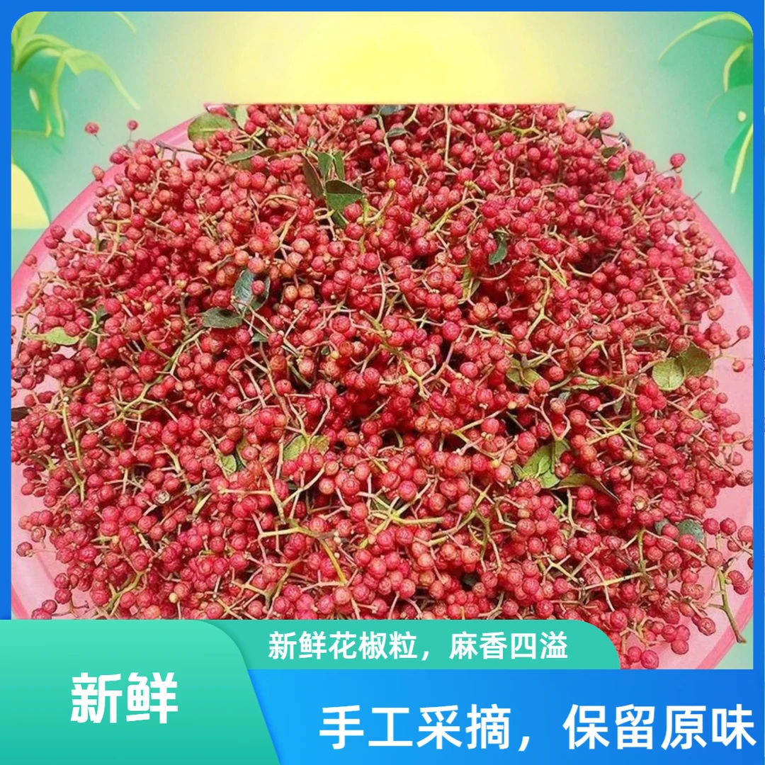 陕西大红袍花椒湿花椒新鲜花椒可炼油调料红椒现摘活花椒 1-8斤装