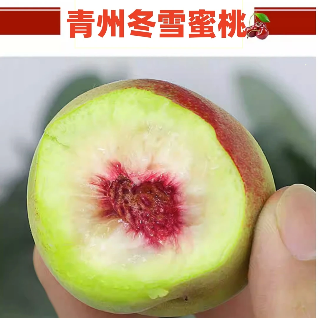 【函昕园专属】珍珠蜜桃袖珍小毛桃青州冬雪蜜桃 红心绿肉脆甜甜5斤
