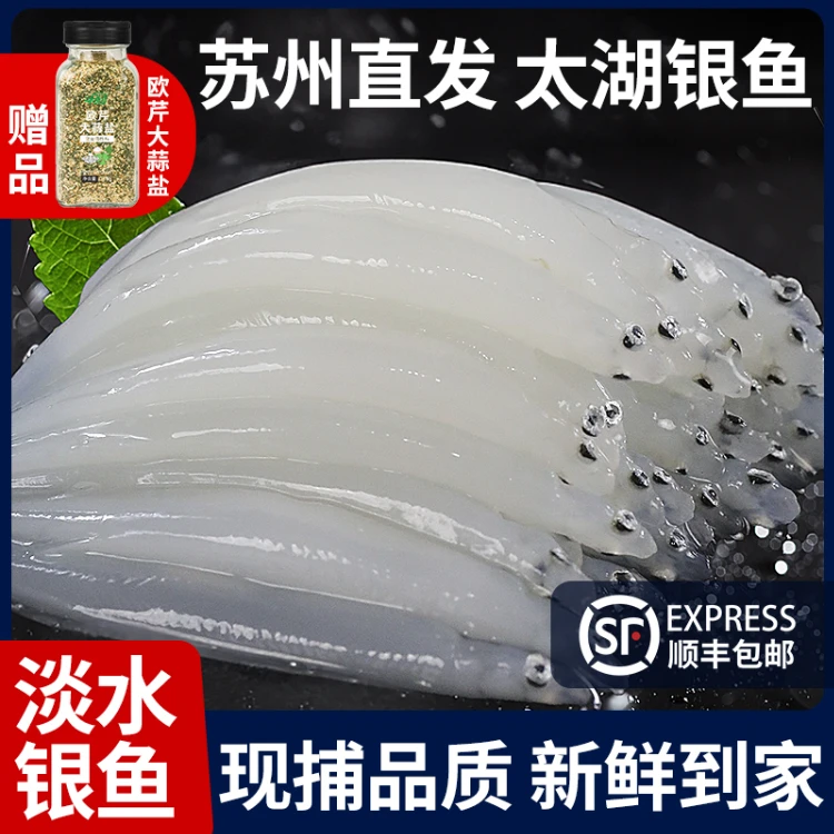 银鱼新鲜太大湖鲜活淡水无刺宝宝辅食营养三白银鱼（足重100g*6包）