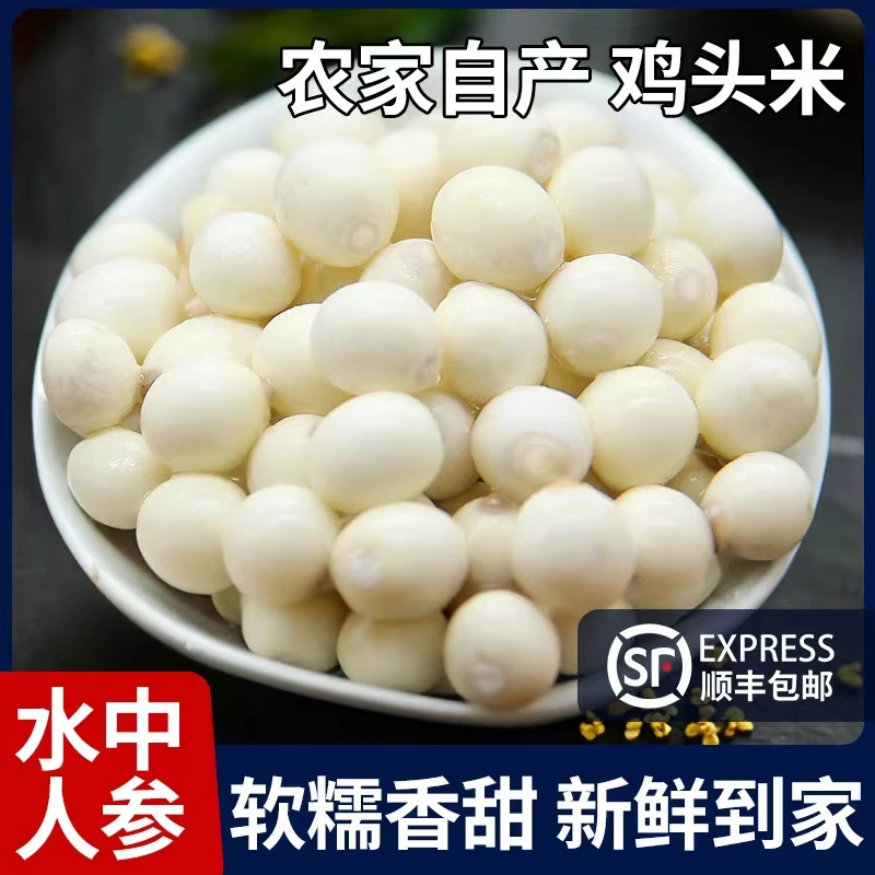 苏州芡实新鲜手工采鸡头米大果农产品软糯清香Q弹无添加产地发货