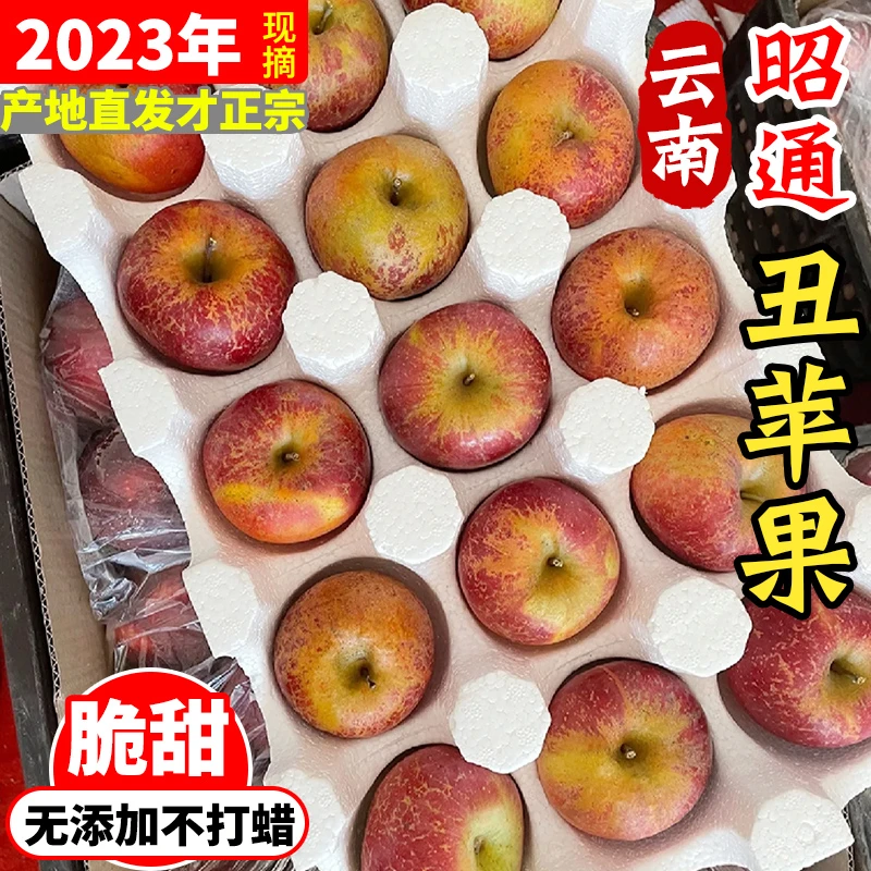 脆甜昭通冰糖心丑苹果云南现摘当季孕妇水果净重3/5/9斤彩箱包装