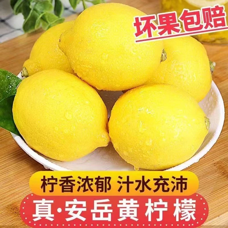 四川安岳黄柠檬新鲜水果批发包邮皮薄大果产地直发香气浓郁精选