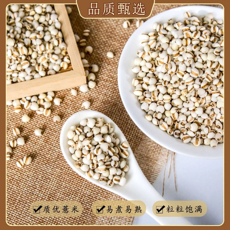 甄选薏苡仁 可搭配红豆五谷杂粮