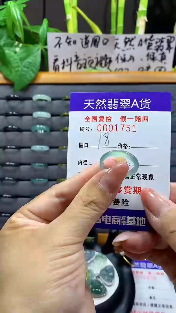 【闪购商品】翡翠戒指未镶嵌1751