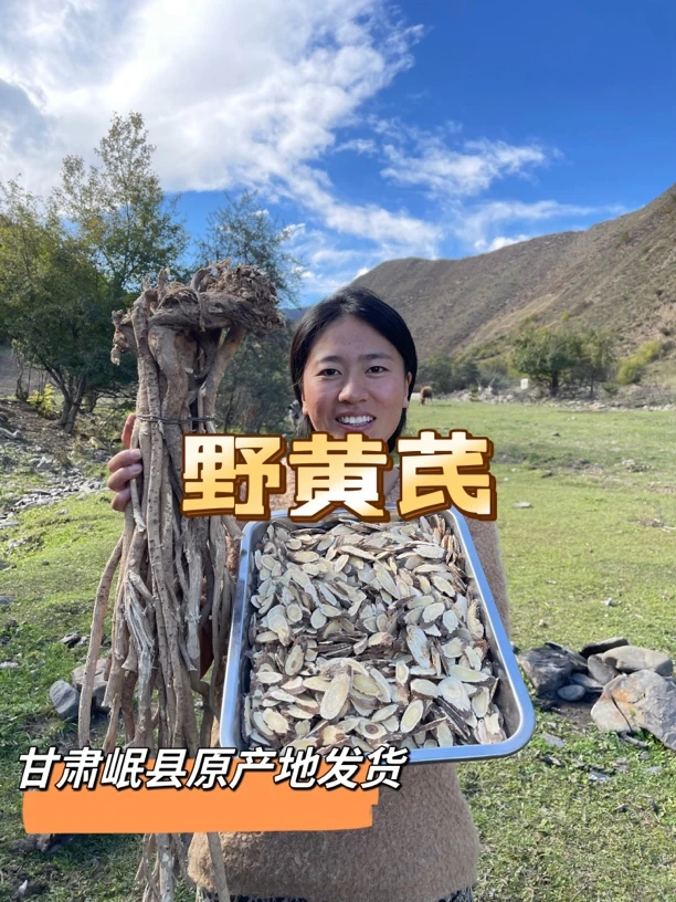 顺丰《野黄芪》8年左右多年生无硫无熏甘肃岷县原产地直发泡水煮水