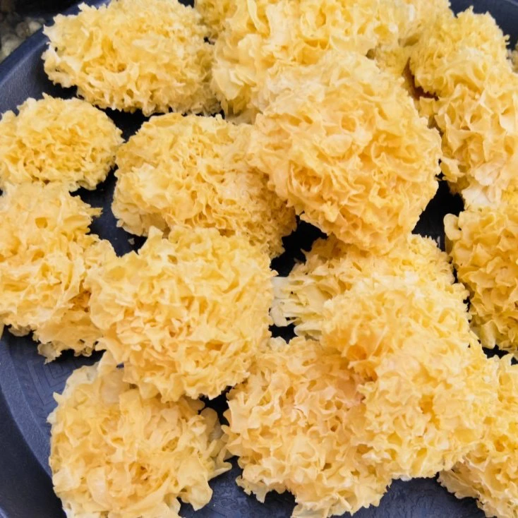 （岁月）250g福建椴木小银耳（提前泡发）