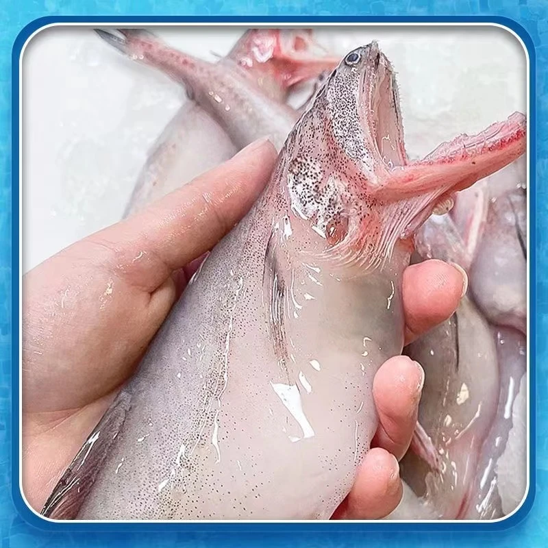 连云港发货 豆腐鱼 5斤