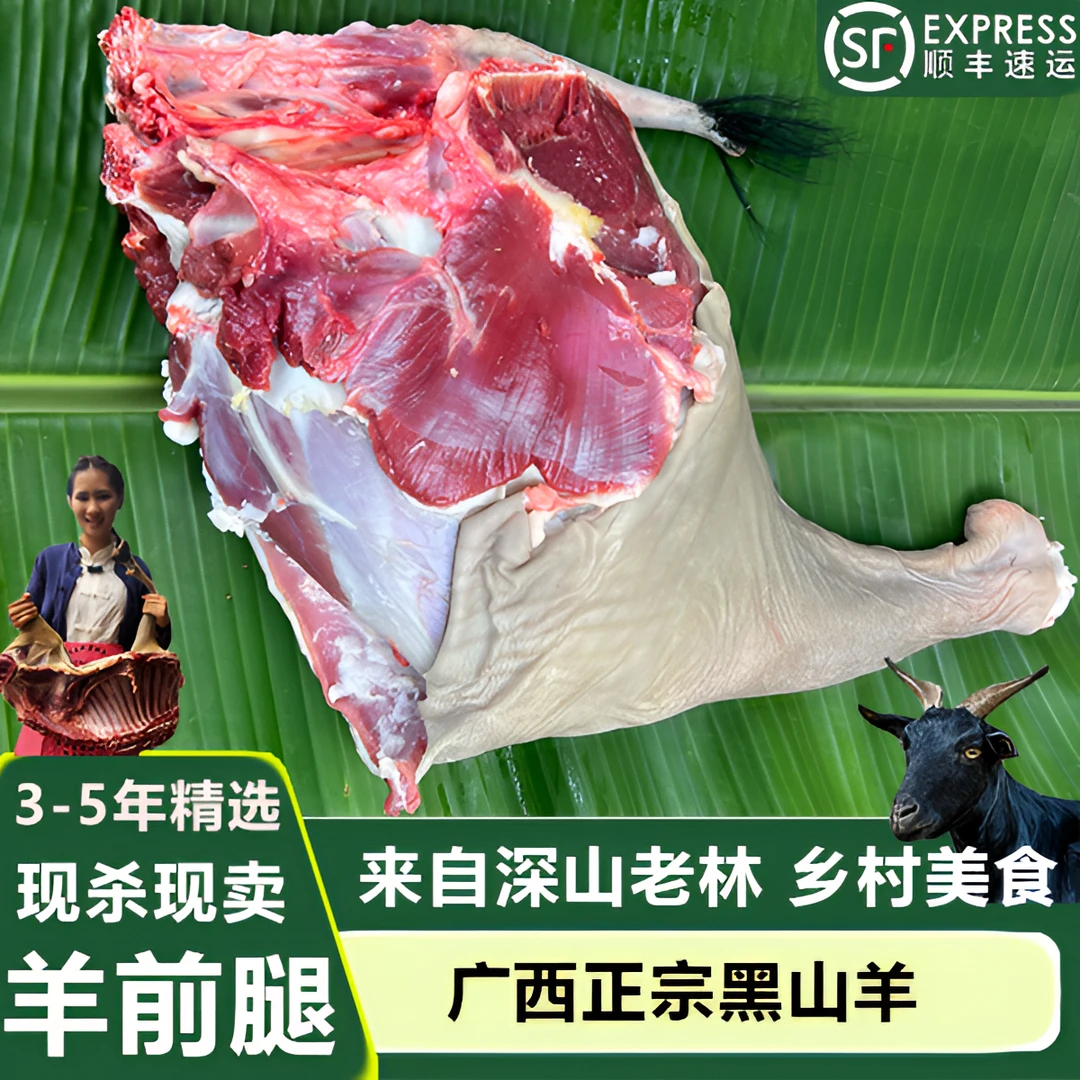 广西正宗小耳朵黑山羊带皮羊腿农村散养新鲜现屠宰黑山羊肉羊后腿