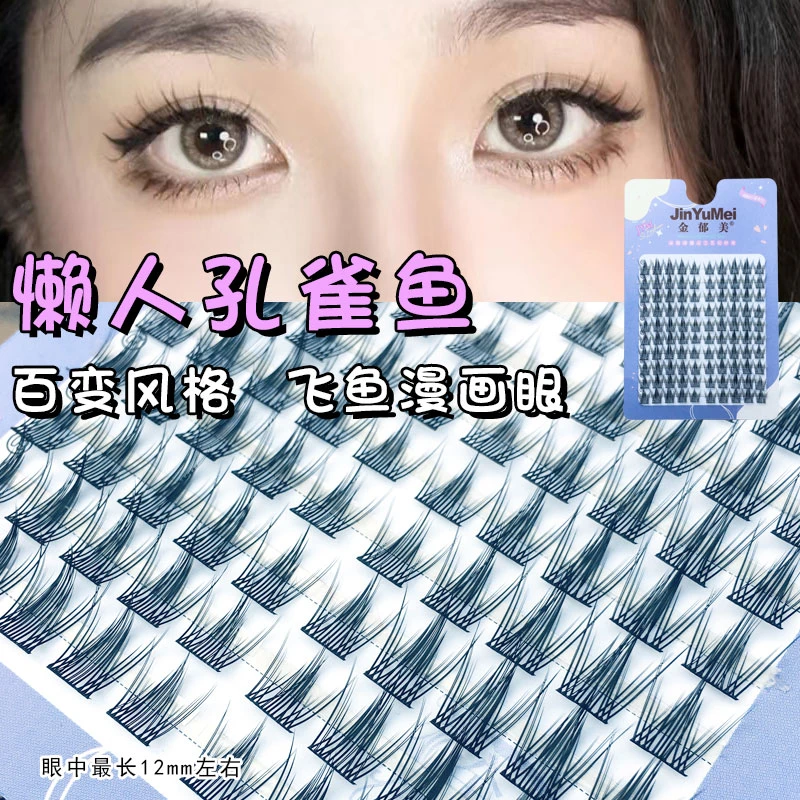 懒人系孔雀鱼漫画眼飞鱼新手日常单黑梗鱼尾三部曲假睫毛YT