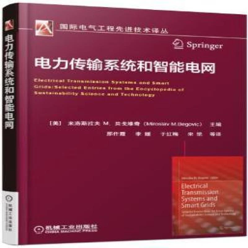 电力传输系统和智能电网