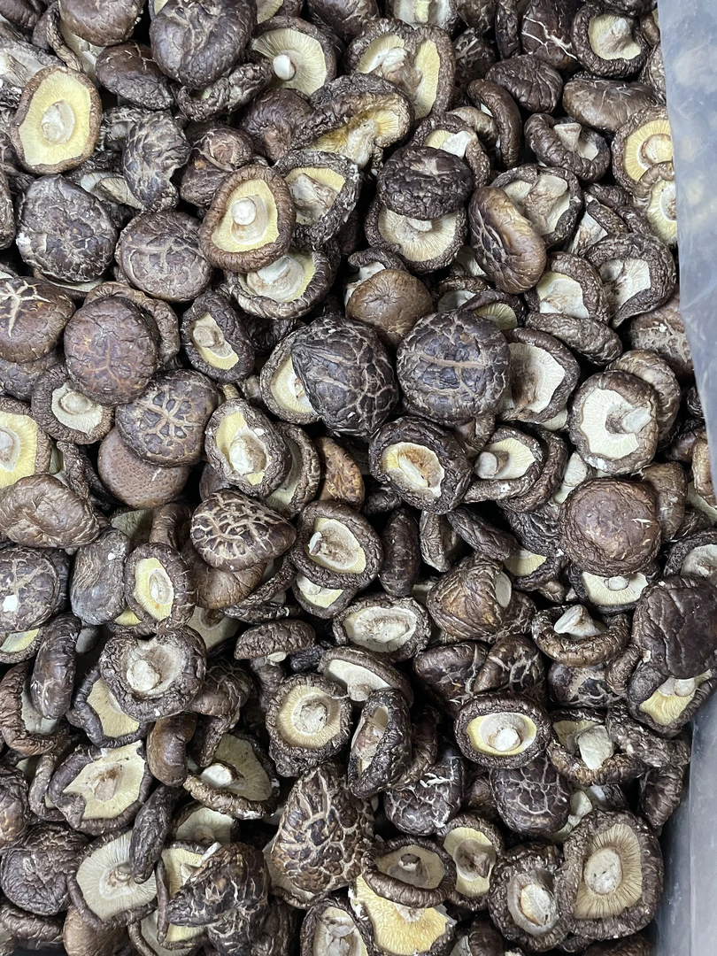 【小丸子专属】新香菇炒香饭炒菜500g