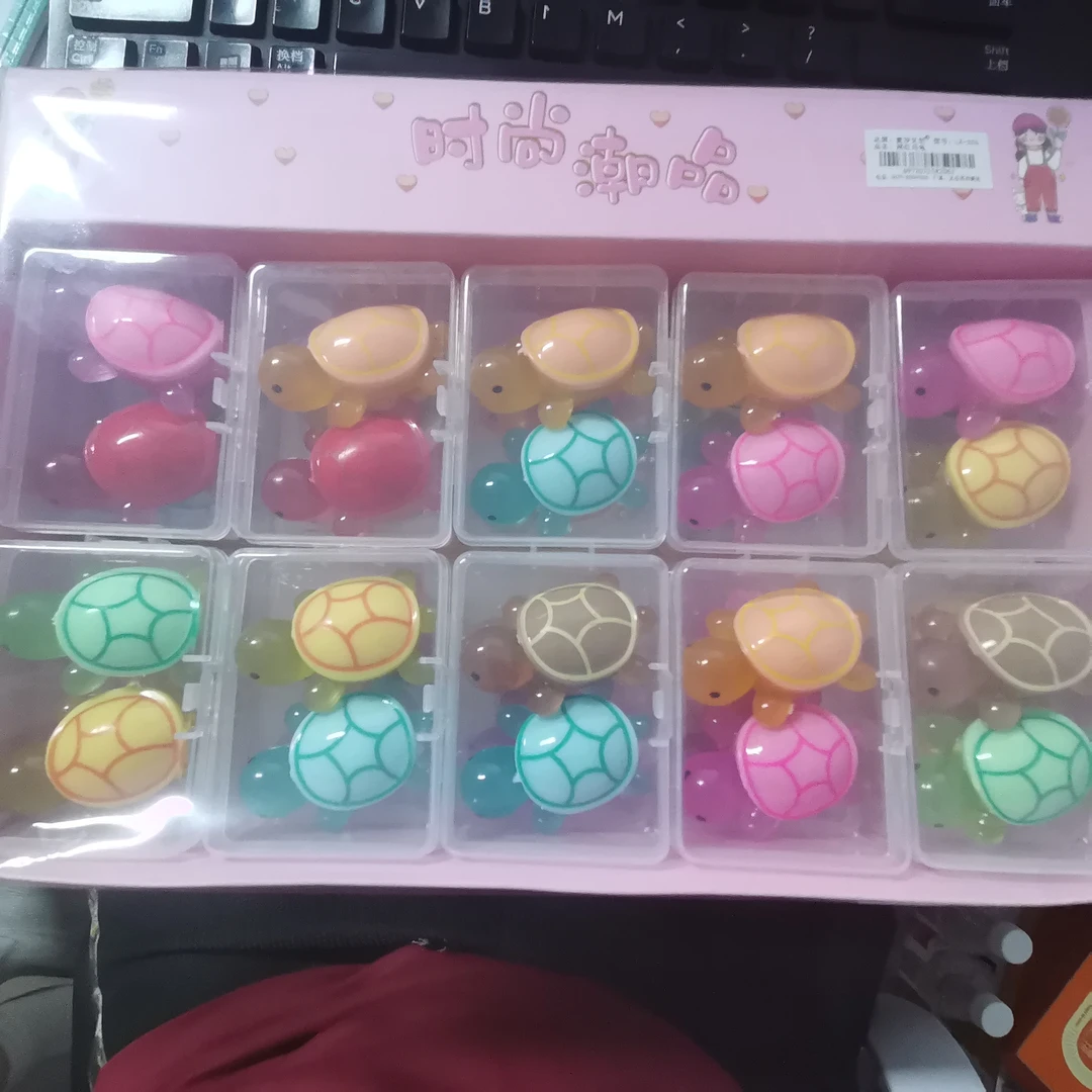 网红爆款小乌龟哟