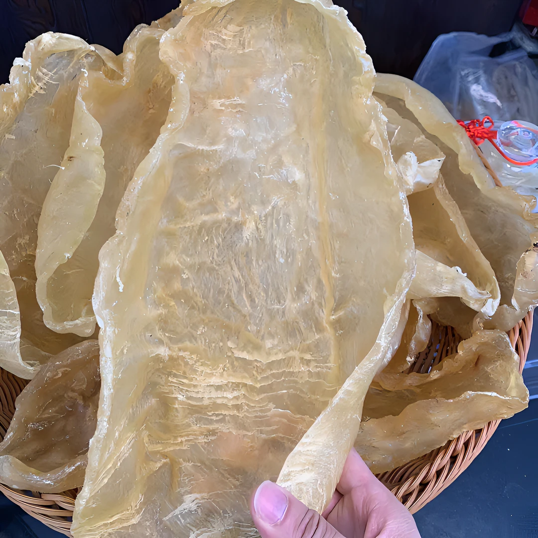 山海汇广东斗湖鳘鱼胶1-500g