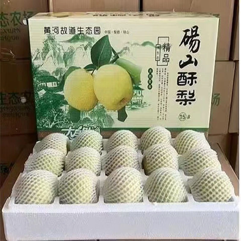 精选礼盒正宗砀山梨砀山酥梨新鲜水果汁水冰糖雪梨脆甜多