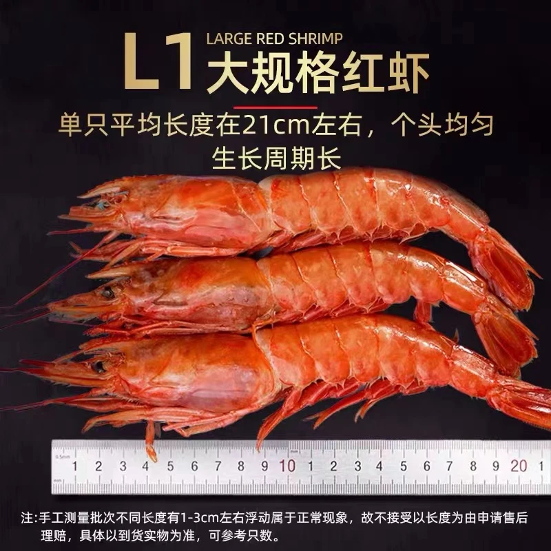 1020规格L1刺身阿根廷红虾鲜嫩冰川海域捕捞深海大虾4斤/盒