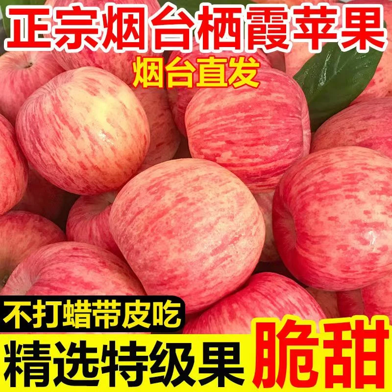 正宗山东烟台红富士苹果脆新鲜水果冰糖心栖霞条纹苹果一整箱包邮