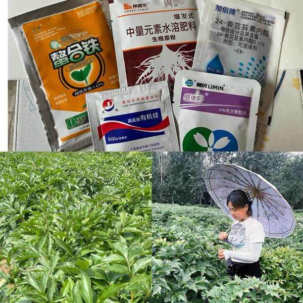 菏泽花卉牡丹，芍药苗专用配方组合页面肥