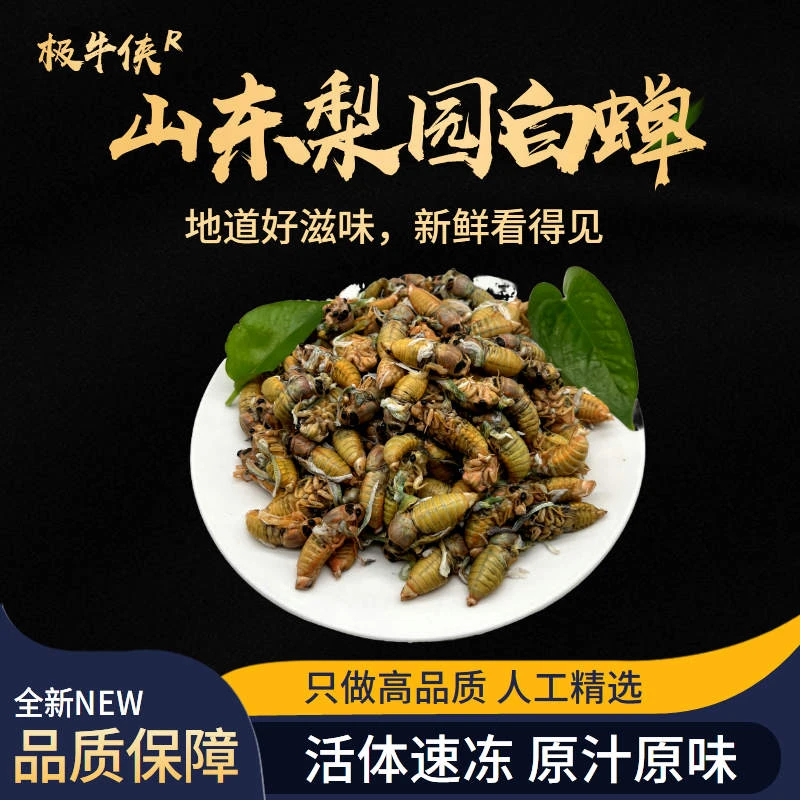 山东脱壳白婵白消息梨园白婵爬叉下酒菜爆炒油炸