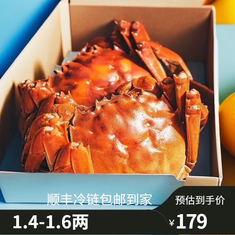 【活蟹现发】盘锦鲜活河蟹精品蟹母蟹 1.4-1.6两共14只冷链直达