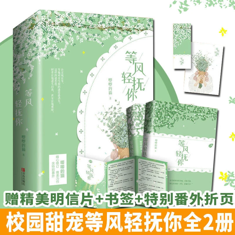 直播 等风轻抚你全二册 唧唧的猫网络名等风热吻你青春文学校园